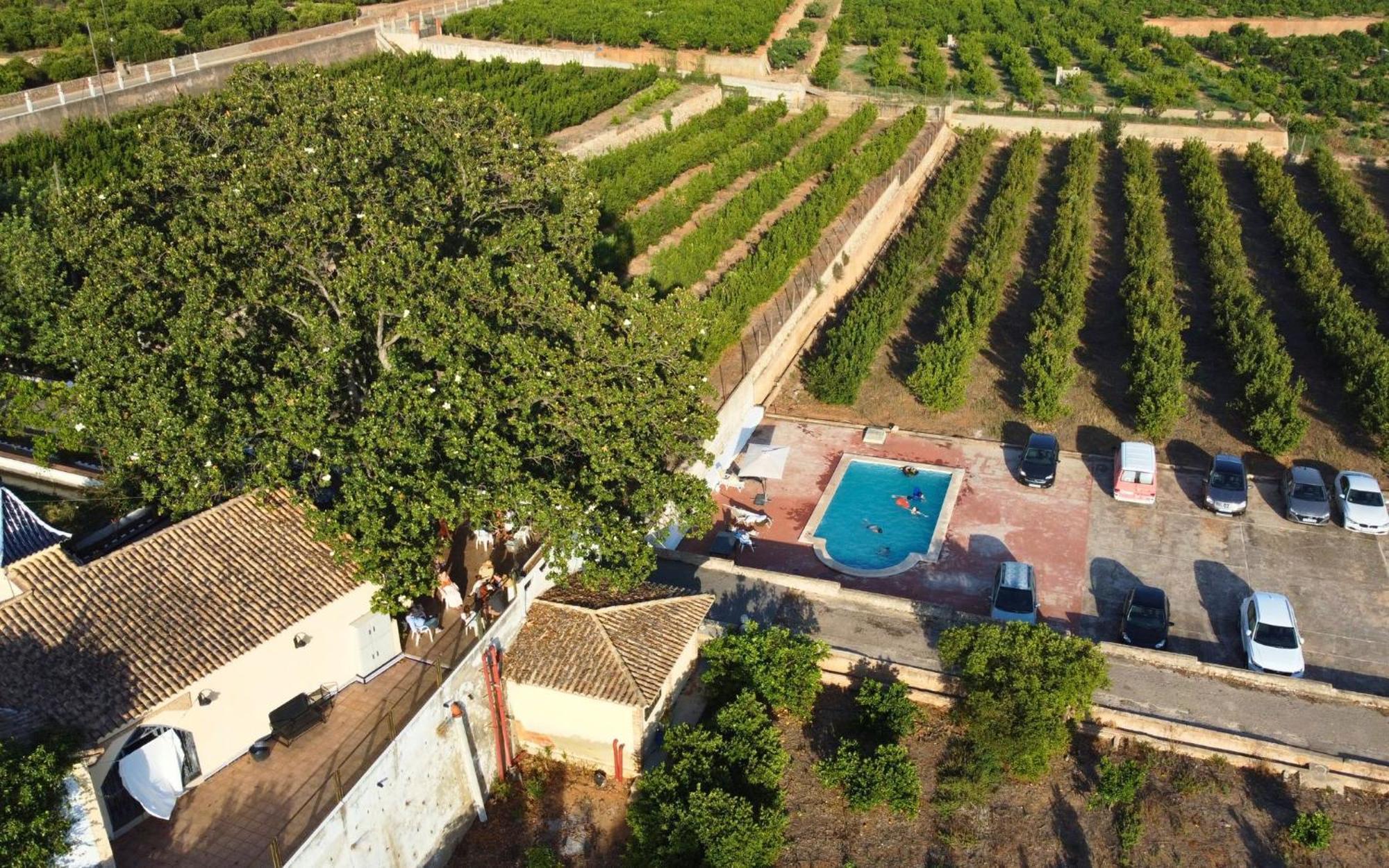 Casa Magnolia, A Rural Paradise House With Pool Alzira Exteriör bild