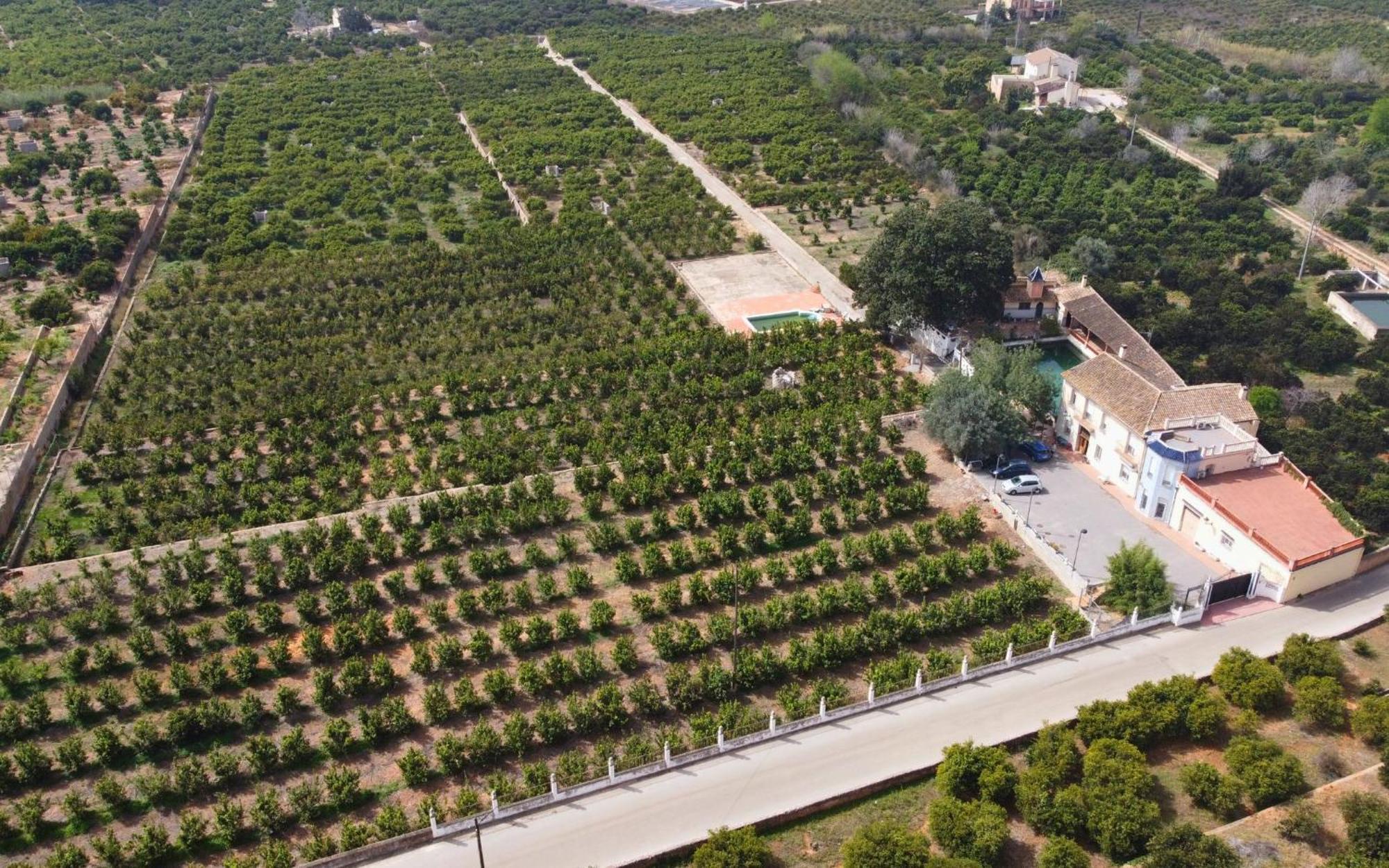 Casa Magnolia, A Rural Paradise House With Pool Alzira Exteriör bild