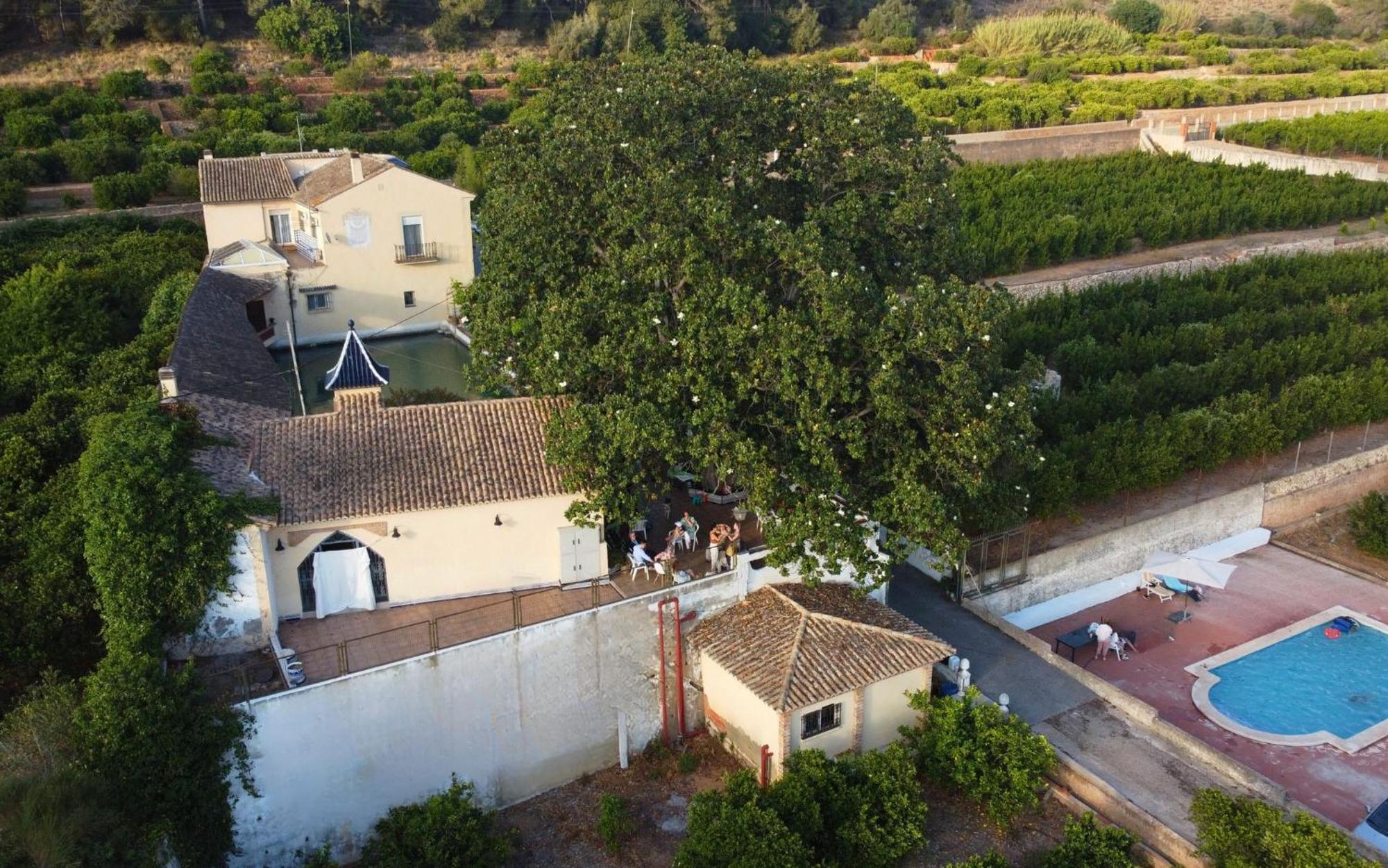 Casa Magnolia, A Rural Paradise House With Pool Alzira Exteriör bild
