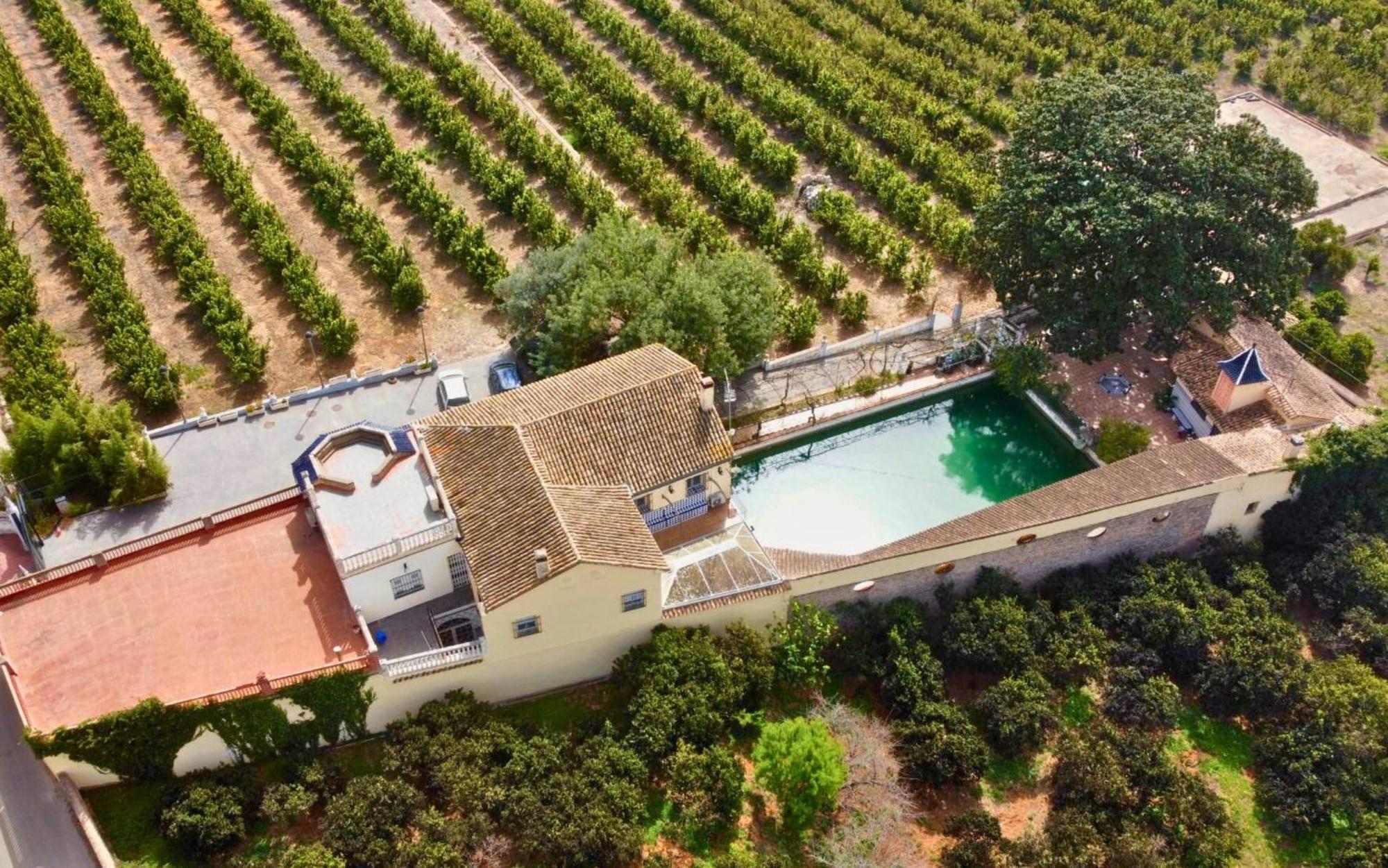 Casa Magnolia, A Rural Paradise House With Pool Alzira Exteriör bild